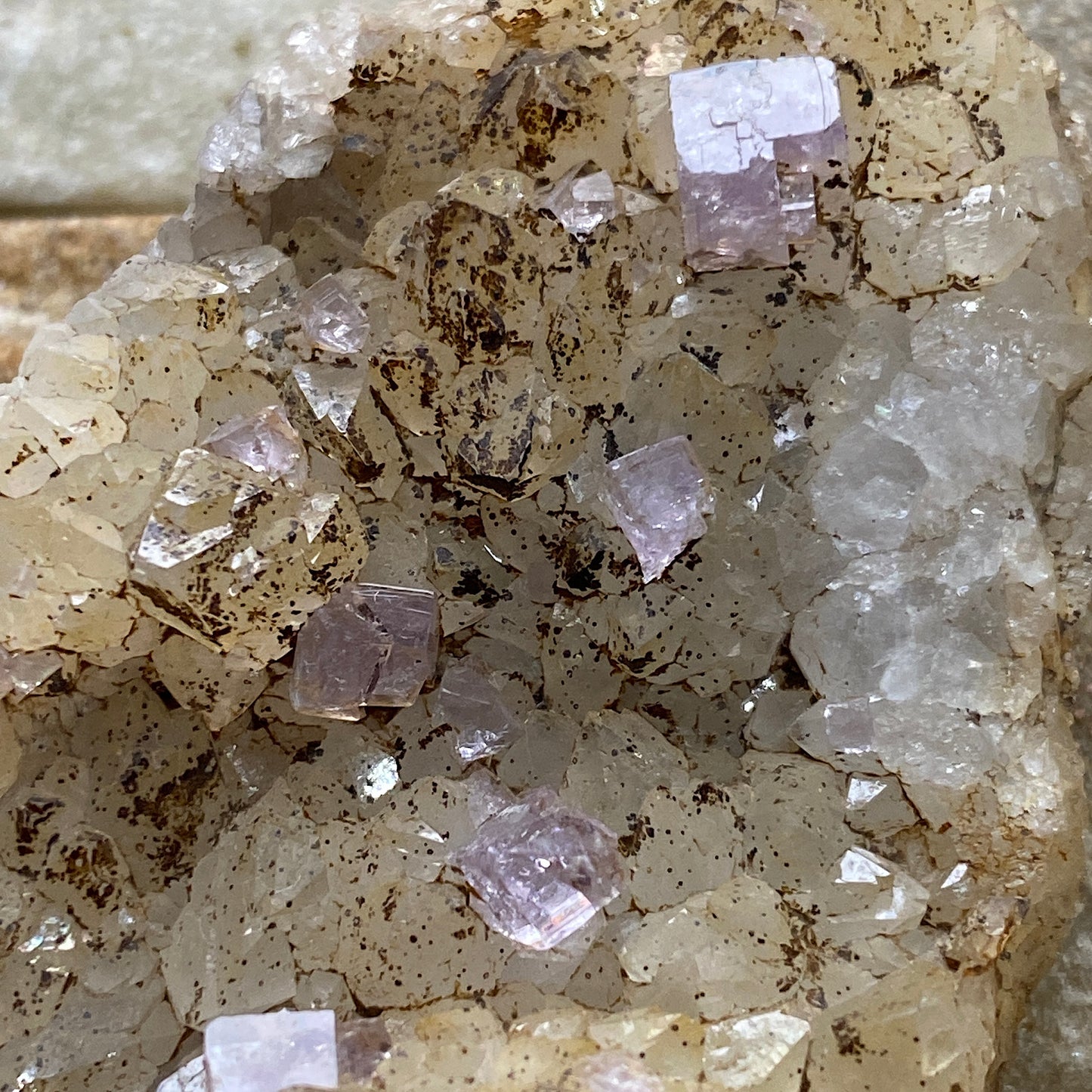 FLUORITE/QUARTZ : SOUTH CROFTY MINE, POOL, CARN BRAE, CORNWALL 46g. MF5292