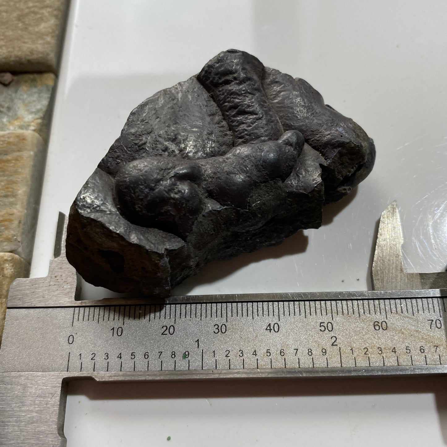 HEMATITE "KIDNEY" ORE : PARKSIDE MINE, FRIZINGTON, CUMBRIA  108g MF5293