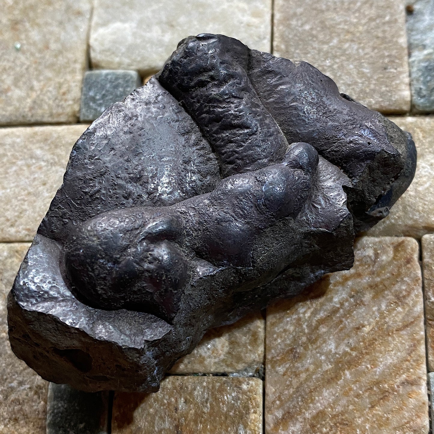 HEMATITE "KIDNEY" ORE : PARKSIDE MINE, FRIZINGTON, CUMBRIA  108g MF5293