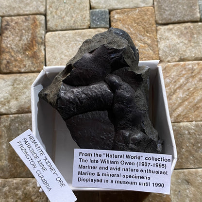HEMATITE "KIDNEY" ORE : PARKSIDE MINE, FRIZINGTON, CUMBRIA  108g MF5293