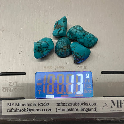 TURQUOISE ROUGH NATURAL GEMSTONES x 5 - BADAKHSHAN, AFGHANISTAN 13g. MFG3108