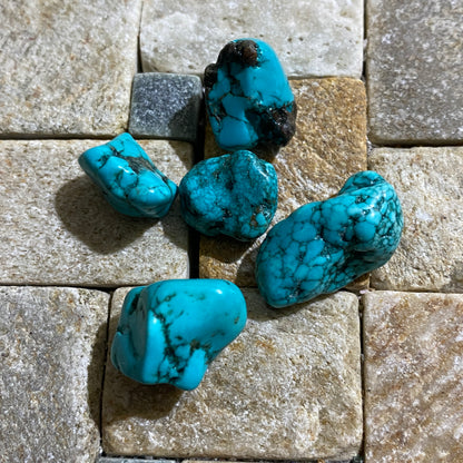 TURQUOISE ROUGH NATURAL GEMSTONES x 5 - BADAKHSHAN, AFGHANISTAN 13g. MFG3108