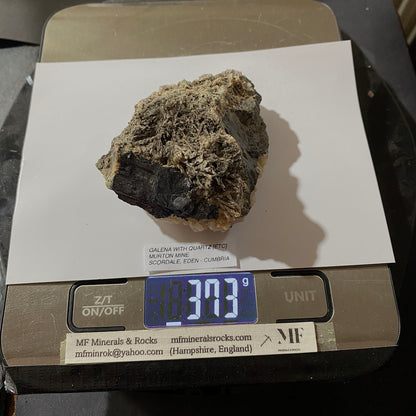 GALENA [ETC]  : MURTON MINE, SCORDALE, EDEN, CUMBRIA, ENGLAND  373g MF5294
