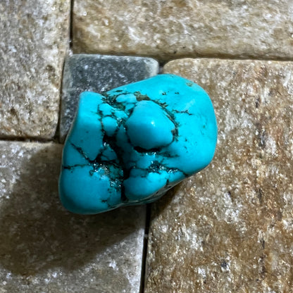 TURQUOISE ROUGH NATURAL GEMSTONES x 5 - BADAKHSHAN, AFGHANISTAN 13g. MFG3108