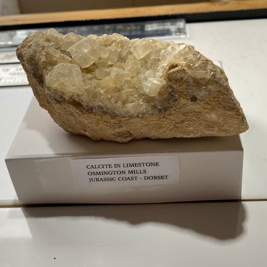 CALCITE IN LIMESTONE : OSMINGTON MILLS, JURASSIC COAST, DORSET, ENGLAND 224g MF5295
