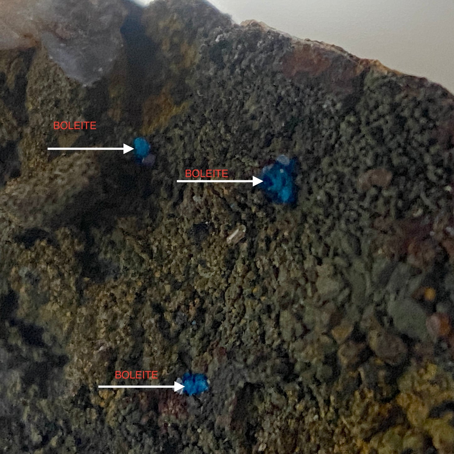 BOLEITE MICROS : LA CAMPANIA MINE, ANTOFAGASTA, CHILE. MF4656