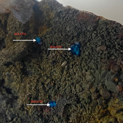 BOLEITE MICROS : LA CAMPANIA MINE, ANTOFAGASTA, CHILE. MF4656