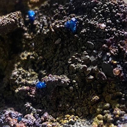 BOLEITE MICROS : LA CAMPANIA MINE, ANTOFAGASTA, CHILE. MF4656