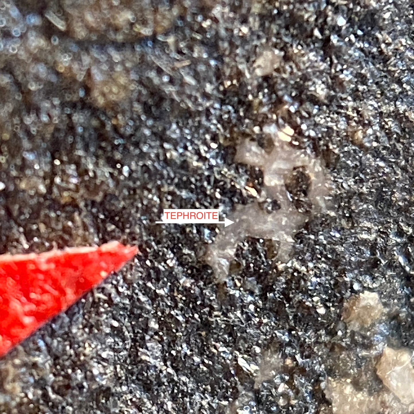 TEPHROITE : GAMBATESI MINE, REPPIA, GENOA, ITALY. MF4661