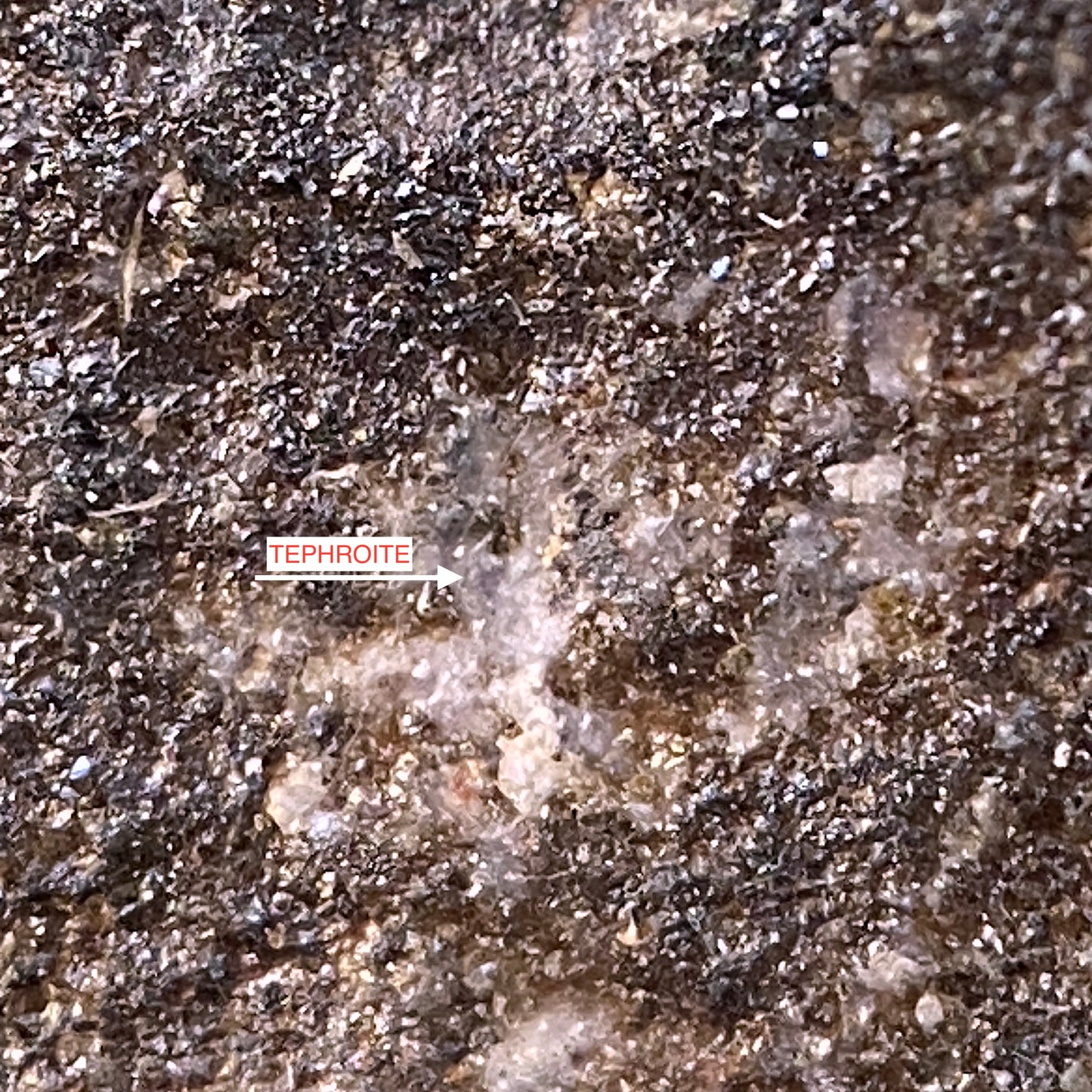 TEPHROITE : GAMBATESI MINE, REPPIA, GENOA, ITALY. MF4661