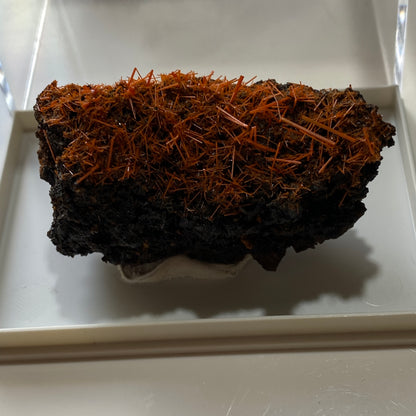 CROCOITE : ADELAIDE MINE, DUNDAS, ZEEHAN DISTRICT, TASMANIA 70g MF5299