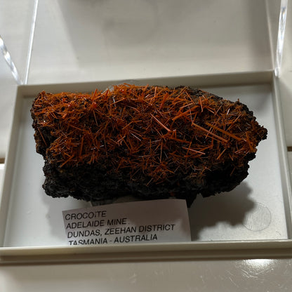 CROCOITE : ADELAIDE MINE, DUNDAS, ZEEHAN DISTRICT, TASMANIA 70g MF5299
