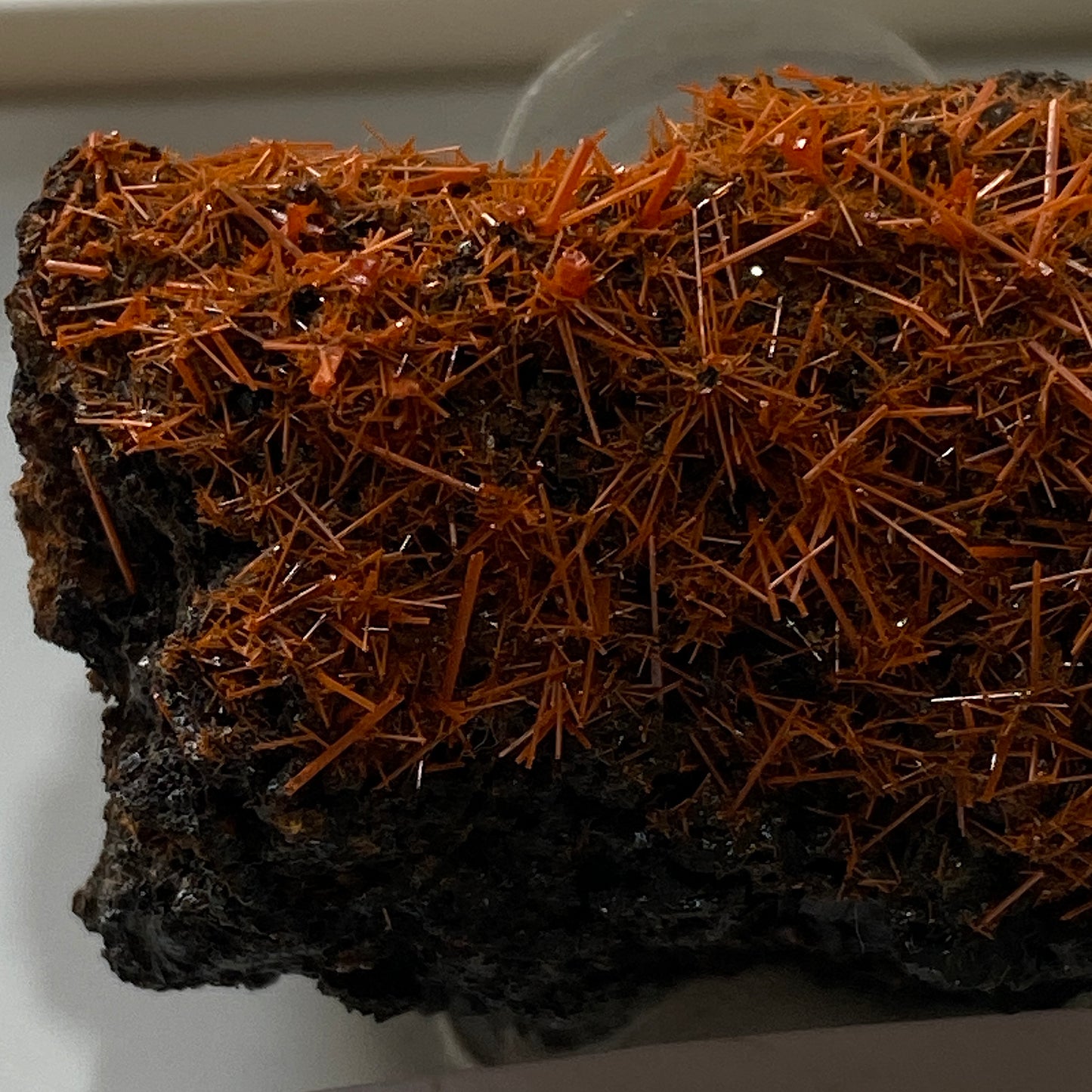 CROCOITE : ADELAIDE MINE, DUNDAS, ZEEHAN DISTRICT, TASMANIA 70g MF5299