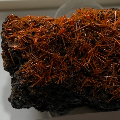 CROCOITE : ADELAIDE MINE, DUNDAS, ZEEHAN DISTRICT, TASMANIA 70g MF5299