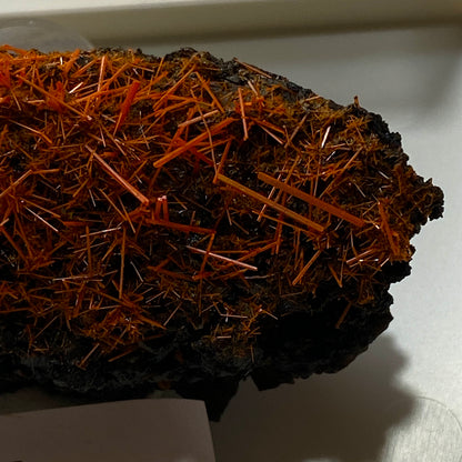 CROCOITE : ADELAIDE MINE, DUNDAS, ZEEHAN DISTRICT, TASMANIA 70g MF5299
