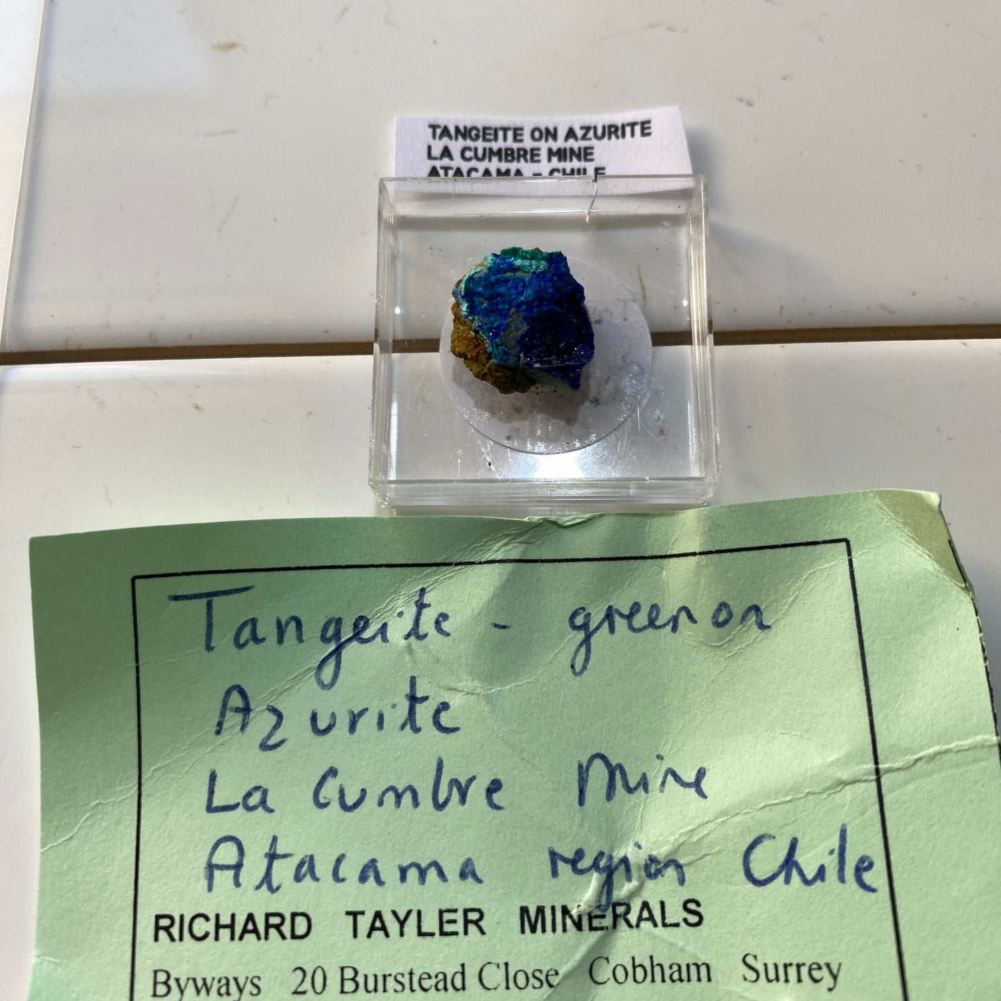 TANGEITE ON AZURITE : LA CUMBRE MINE, ATACAMA, CHILE. MF4651