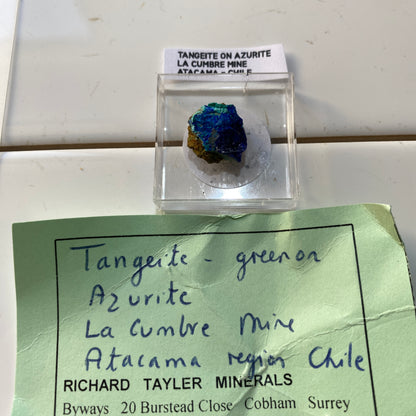 TANGEITE ON AZURITE : LA CUMBRE MINE, ATACAMA, CHILE. MF4651