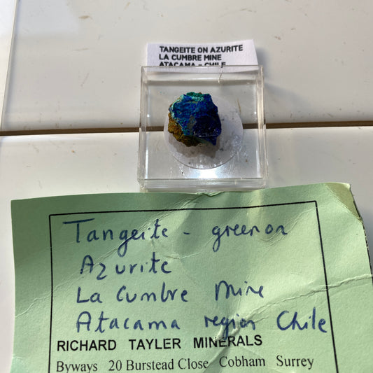 TANGEITE ON AZURITE : LA CUMBRE MINE, ATACAMA, CHILE. MF4651