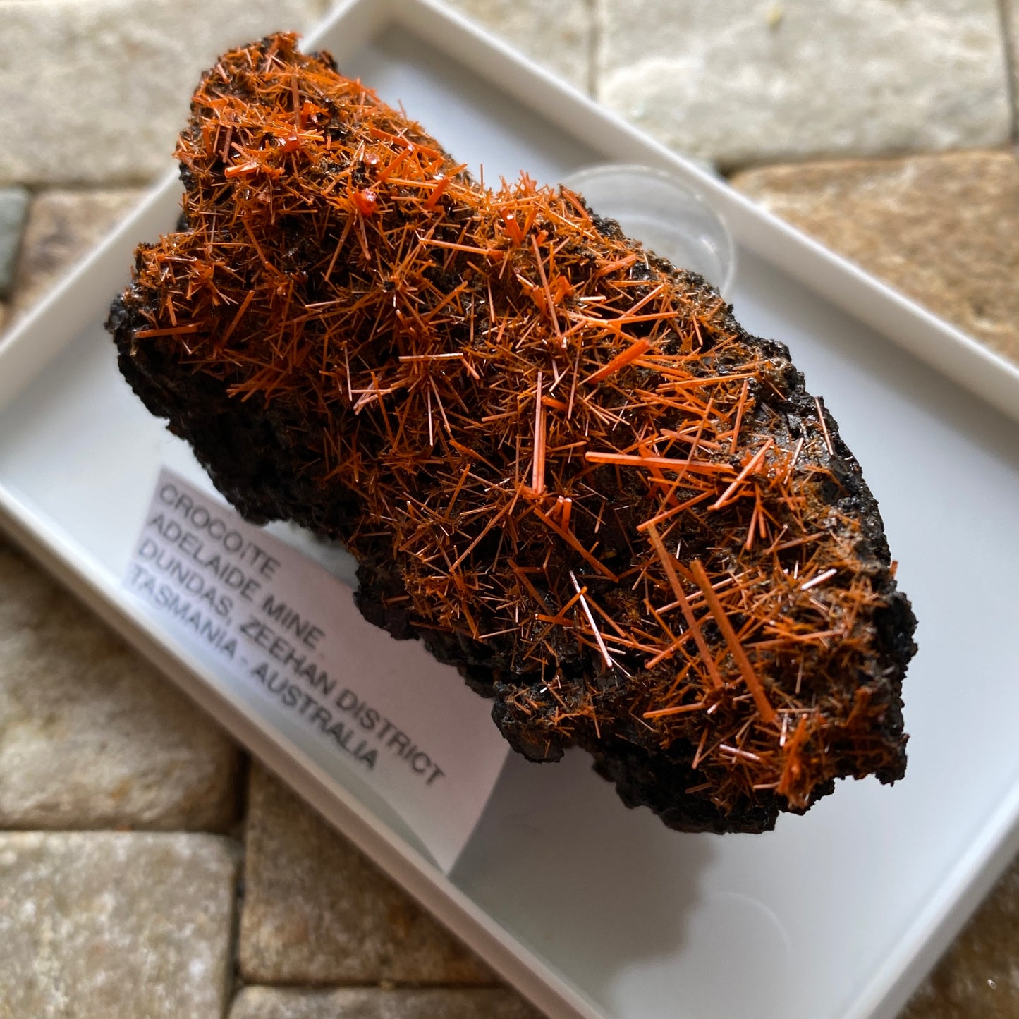 CROCOITE : ADELAIDE MINE, DUNDAS, ZEEHAN DISTRICT, TASMANIA 70g MF5299