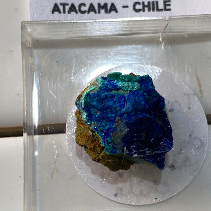 TANGEITE ON AZURITE : LA CUMBRE MINE, ATACAMA, CHILE. MF4651