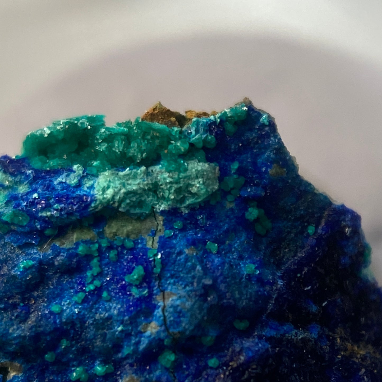 TANGEITE ON AZURITE : LA CUMBRE MINE, ATACAMA, CHILE. MF4651