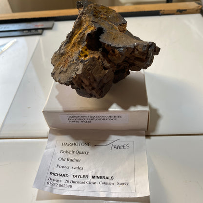 GOETHITE ETC : DOLYHIR QUARRY, OLD RADNOR, POWS, WALES. 288g MF4643