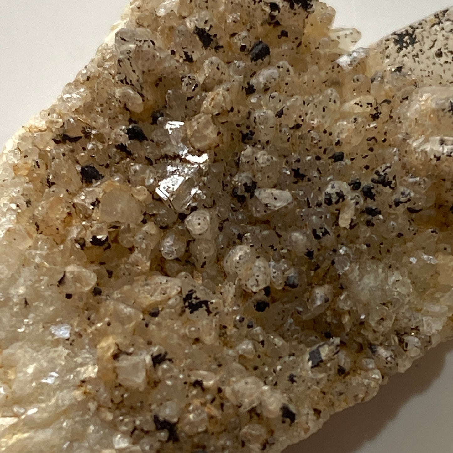 CALCITE WITH GOETHITE - BARTON -ON-SEA, HAMPSHIRE, ENGLAND  5g MF301