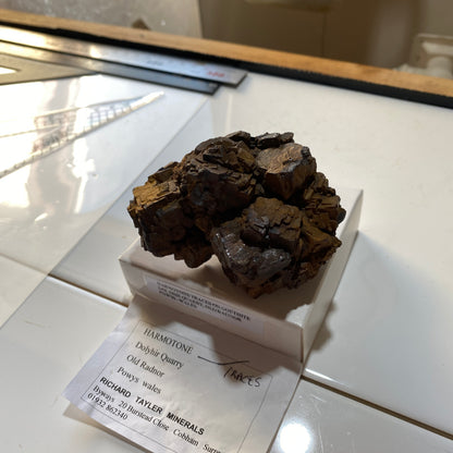 GOETHITE ETC : DOLYHIR QUARRY, OLD RADNOR, POWS, WALES. 288g MF4643