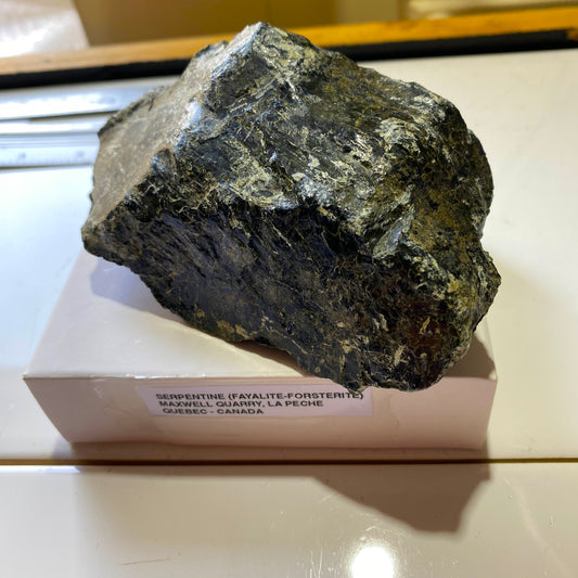 SERPENTINE DU QUÉBEC, CANADA BIEN TAILLE 340g MF363