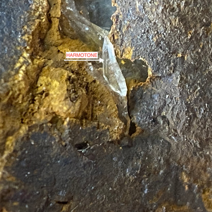 GOETHITE ETC : DOLYHIR QUARRY, OLD RADNOR, POWS, WALES. 288g MF4643