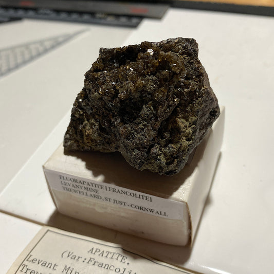 FLUORAPATITE : LEVANT MINE, TREWELLAED, CORNWALL, ENGLAND 109g MF4615