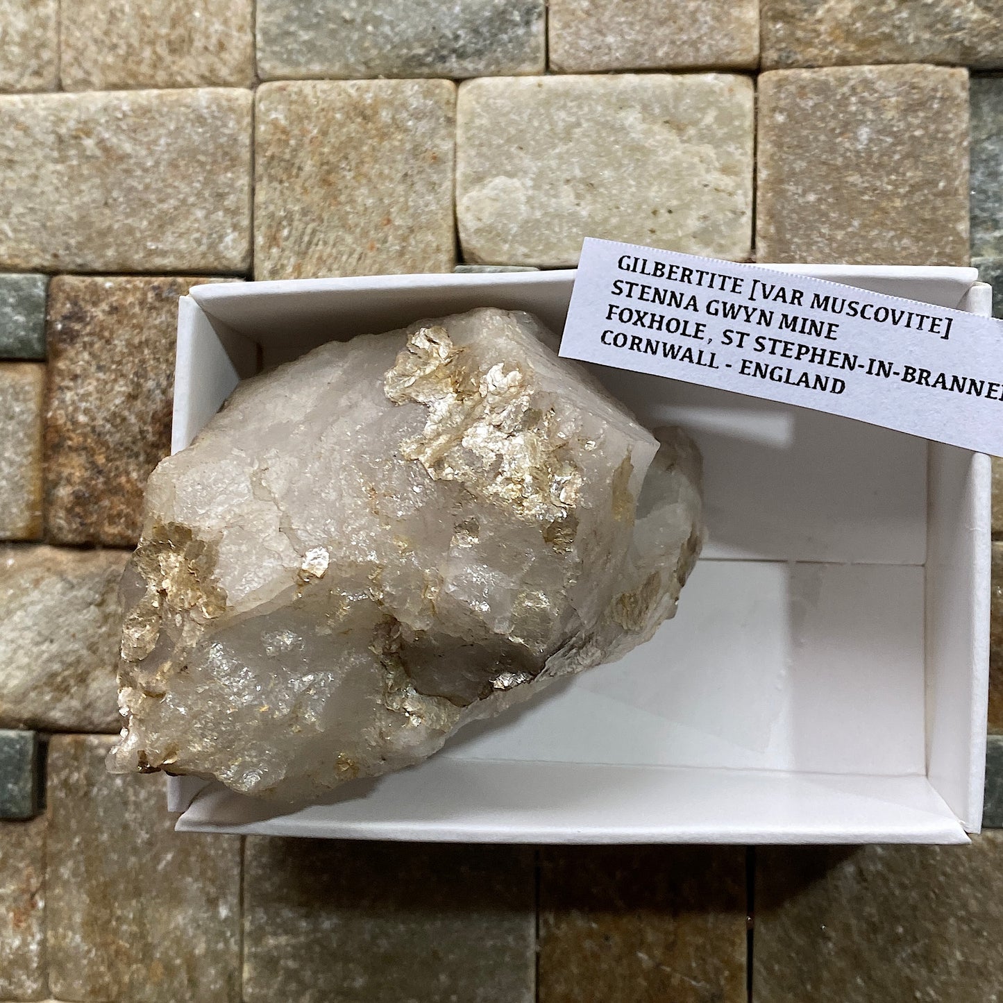 GILBERTITE [ GOLD MUSCOVITE] ON QUARTZ: STENNA GWYN MINE, FOXHOLE, CORNWALL. 101g MF5305