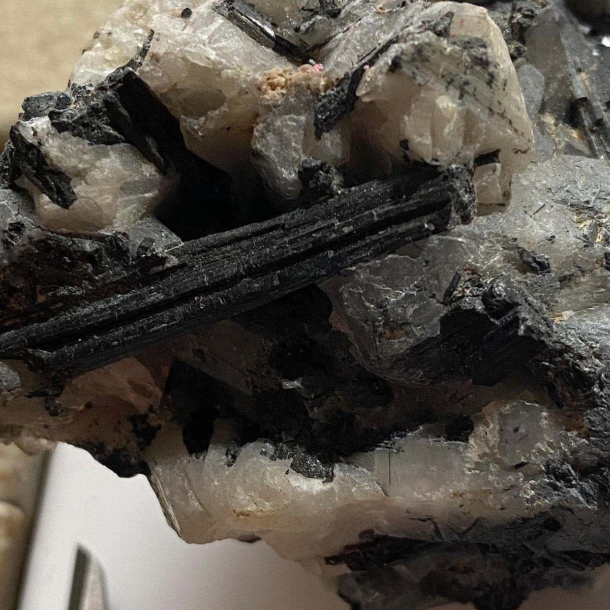 TOURMALINE ON QUARTZ : NORTH GOONBARROW, BUGLE, CORNWALL 452g MF5307