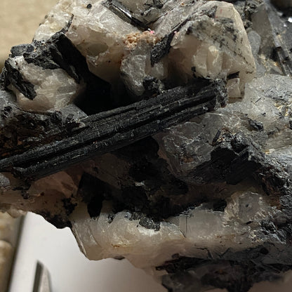 TOURMALINE ON QUARTZ : NORTH GOONBARROW, BUGLE, CORNWALL 452g MF5307