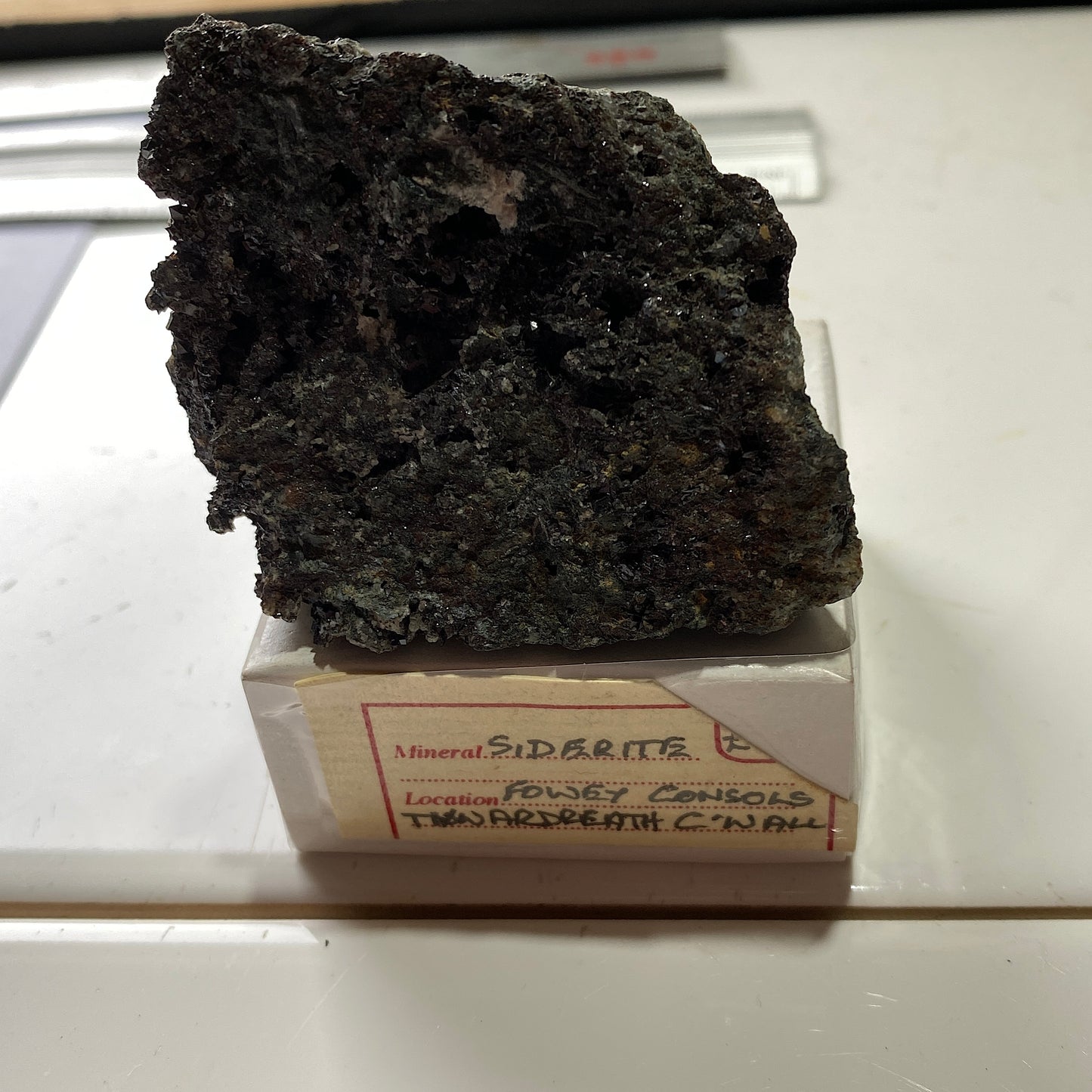 SIDERITE ON MATRIX - FOWEY CONSOLS, TYWARDREATH, CORNWALL, ENGLAND 136g MF265