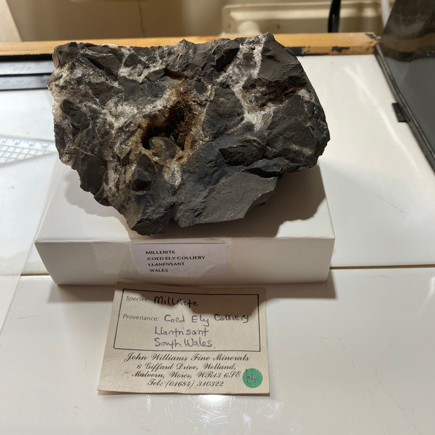 MILLERITE [SPRAY TRACES] : COED-ELY COLLIERY, LLANFNSANT, WALES, U.K.  810g MF4623