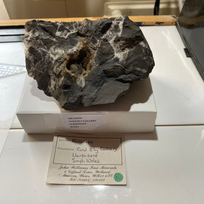 MILLERITE [SPRAY TRACES] : COED-ELY COLLIERY, LLANFNSANT, WALES, U.K.  810g MF4623
