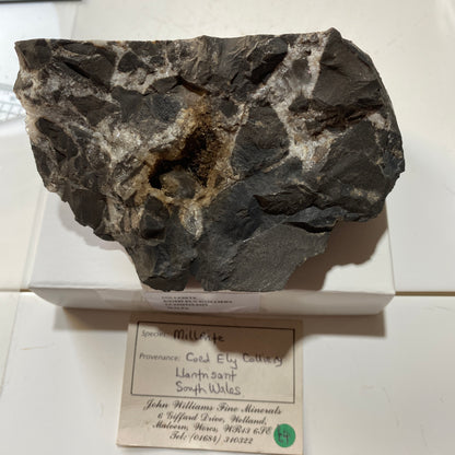 MILLERITE [SPRAY TRACES] : COED-ELY COLLIERY, LLANFNSANT, WALES, U.K.  810g MF4623