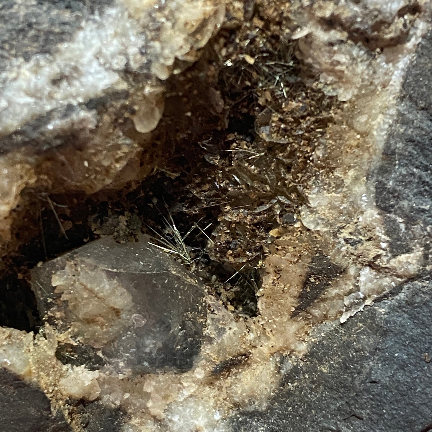 MILLERITE [SPRAY TRACES] : COED-ELY COLLIERY, LLANFNSANT, WALES, U.K.  810g MF4623