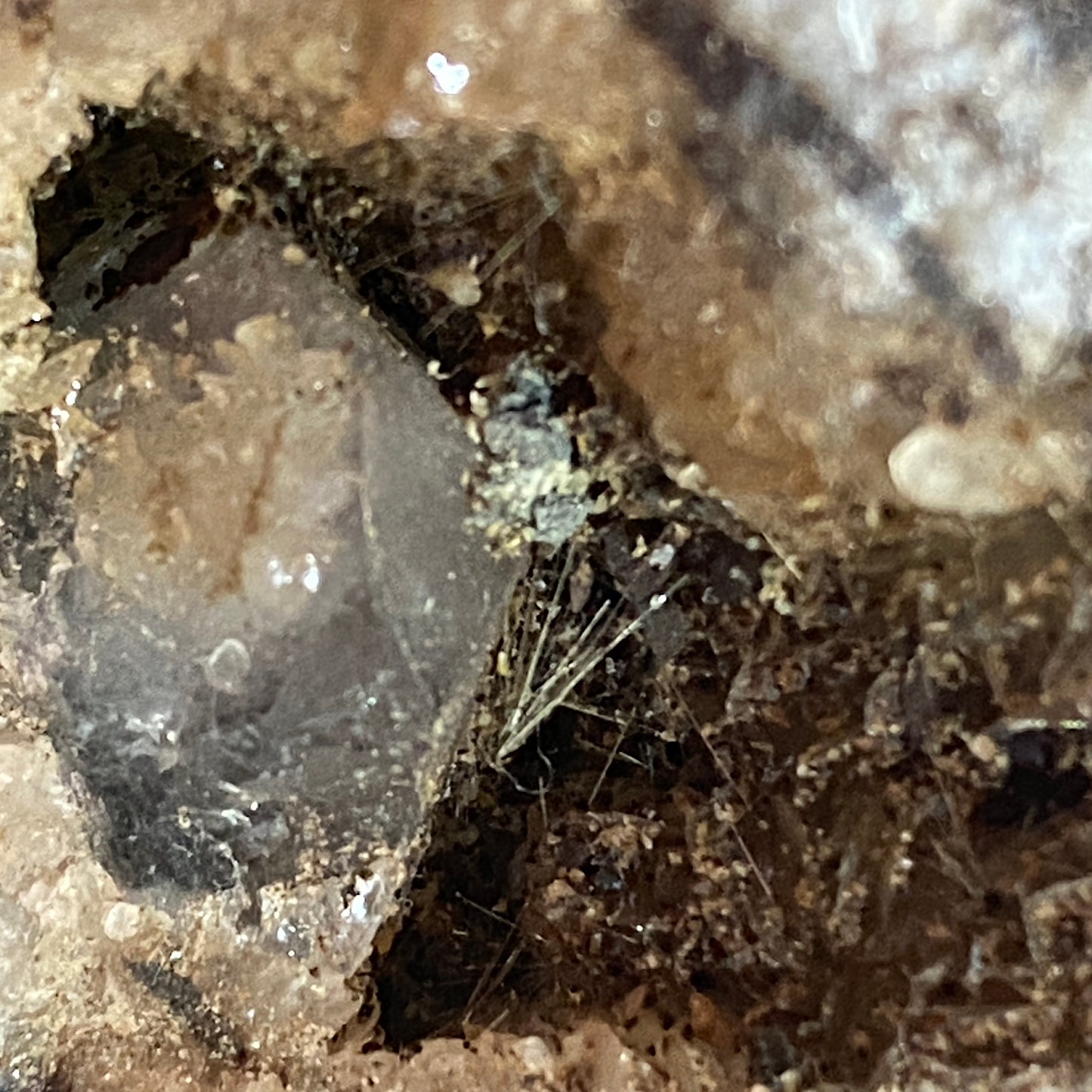 MILLERITE [SPRAY TRACES] : COED-ELY COLLIERY, LLANFNSANT, WALES, U.K.  810g MF4623