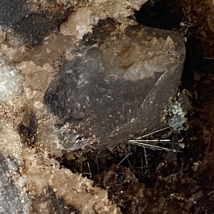 MILLERITE [SPRAY TRACES] : COED-ELY COLLIERY, LLANFNSANT, WALES, U.K.  810g MF4623