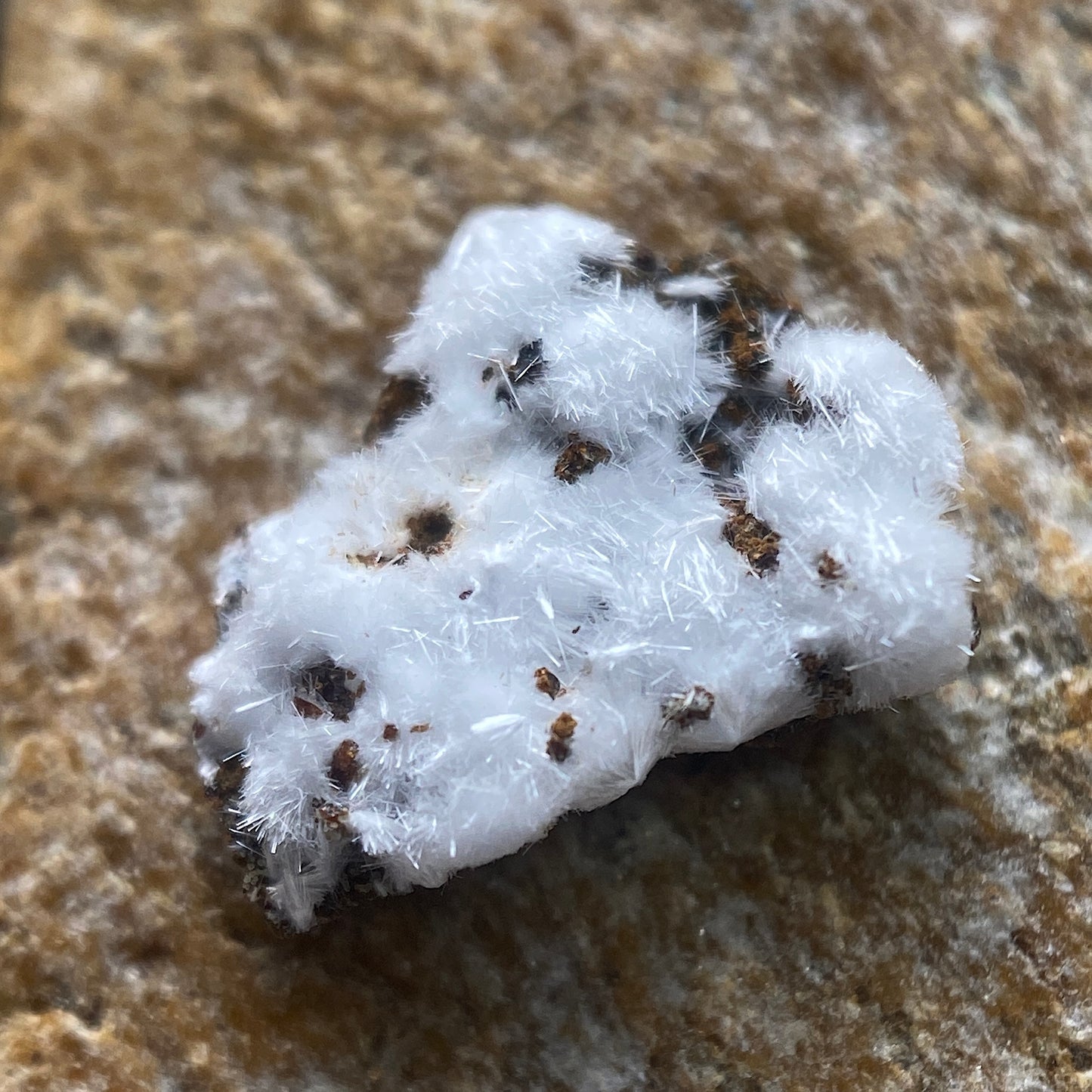 MORAESITE : SAPUCAIA MINE, MINAS GERAIS, BRAZIL. MF4654