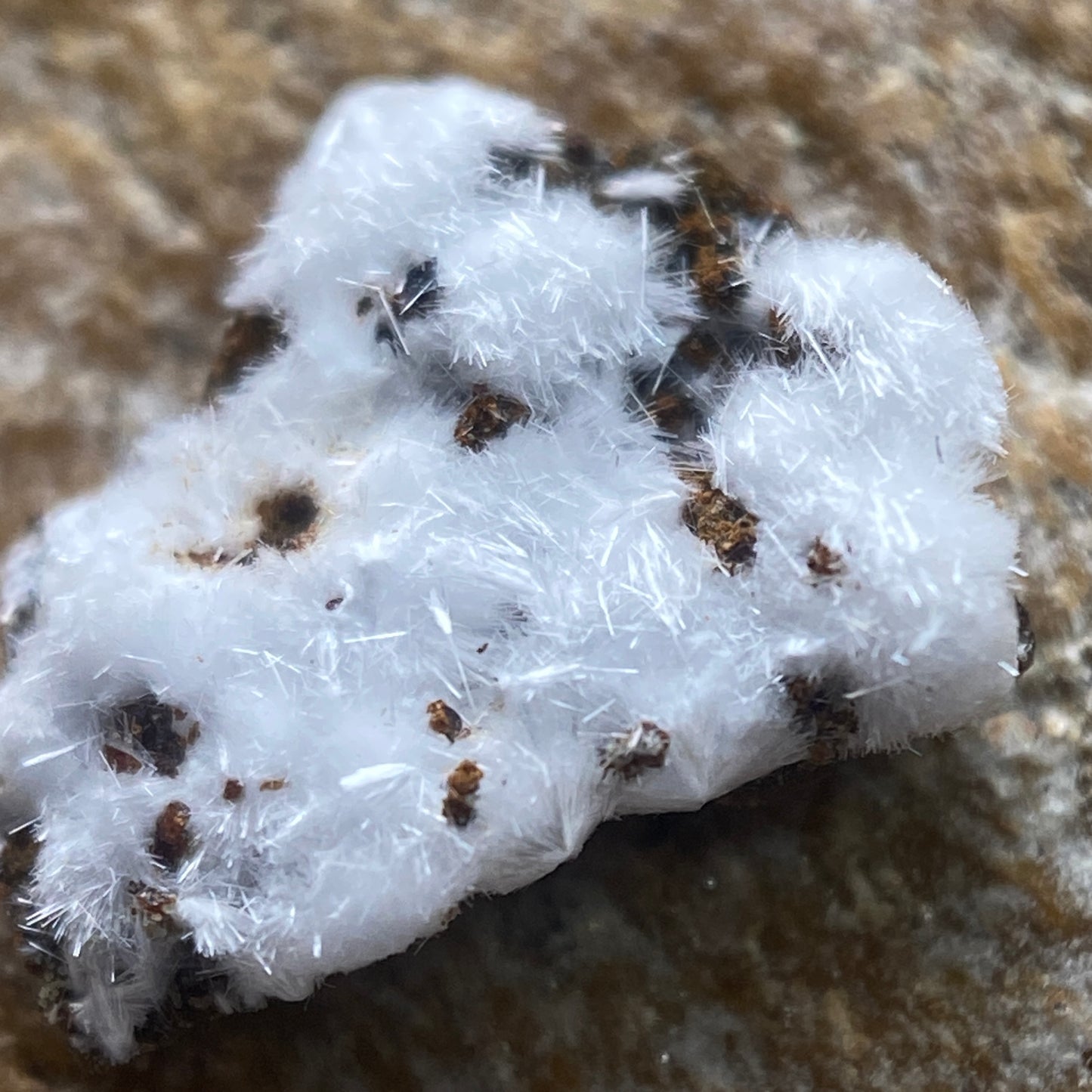 MORAESITE : SAPUCAIA MINE, MINAS GERAIS, BRAZIL. MF4654