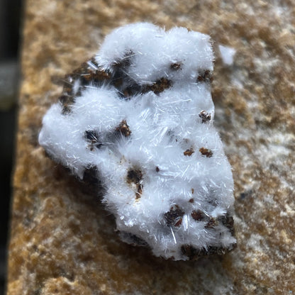 MORAESITE : SAPUCAIA MINE, MINAS GERAIS, BRAZIL. MF4654