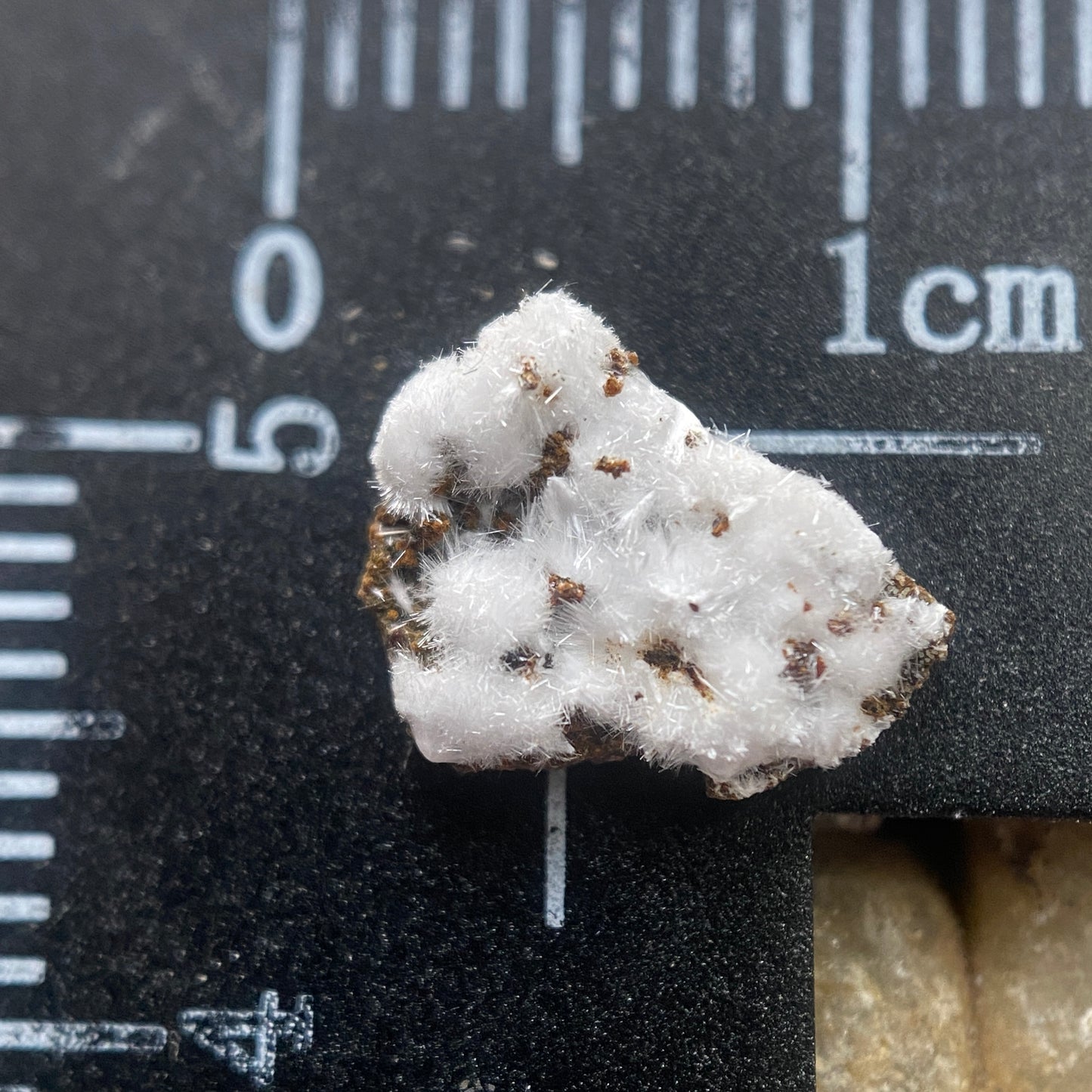 MORAESITE : SAPUCAIA MINE, MINAS GERAIS, BRAZIL. MF4654