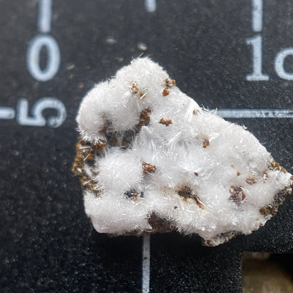 MORAESITE : SAPUCAIA MINE, MINAS GERAIS, BRAZIL. MF4654