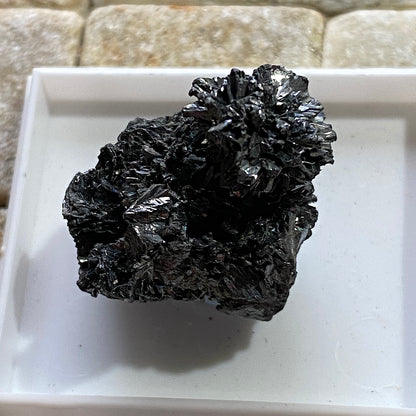 FRANCKEITE : SAN JOSE MINE, ORURU, BOLIVIA. MF4650