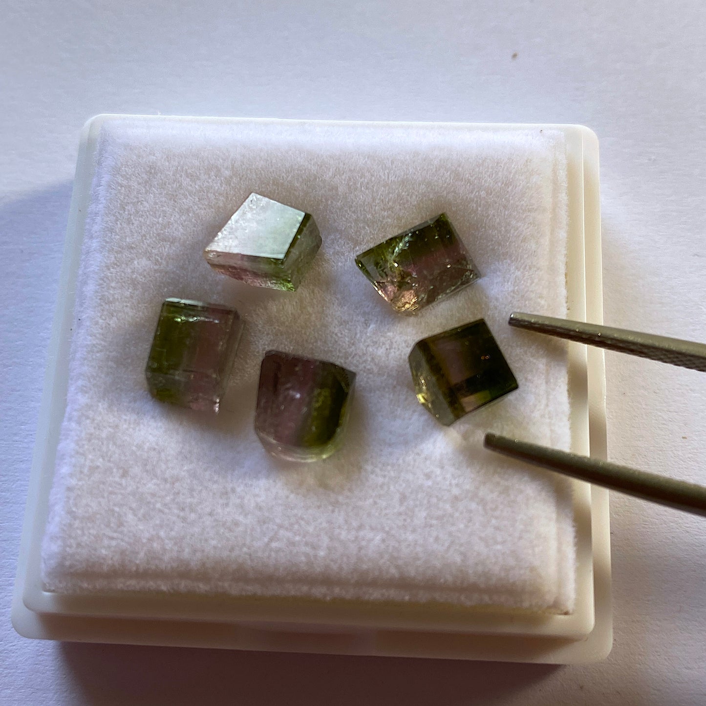 WATERMELON TOURMALINE x 5 - SAO JOSE DA SAFIRA, MINAS GERAIS, BRAZIL 9.50Ct [Total]  MFG9279