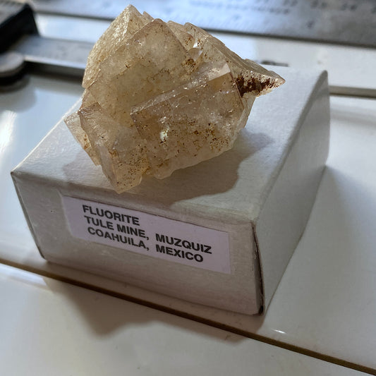 FLUORITE : TULE MINE, MUZQUIZ, COAHUI;A, MEXICO  40g. MF5312