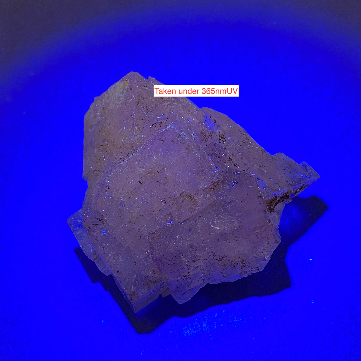 FLUORITE : TULE MINE, MUZQUIZ, COAHUI;A, MEXICO  40g. MF5312